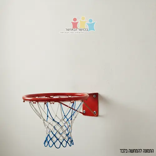 חישוק מתכת איכותי כדורסל