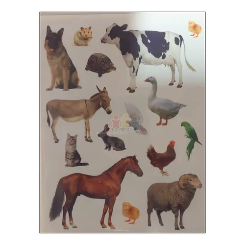 מדבקות חיות בית חתוכות בשטנץ