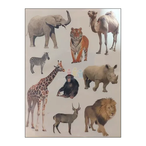 מדבקות חיות ג'ונגל חתוכות בשטנץ