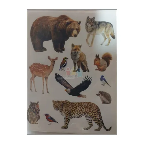 מדבקות חיות יער חתוכות בשטנץ