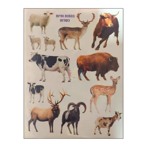 מדבקות בהמות וחיות כשרות חתוך בשטנץ