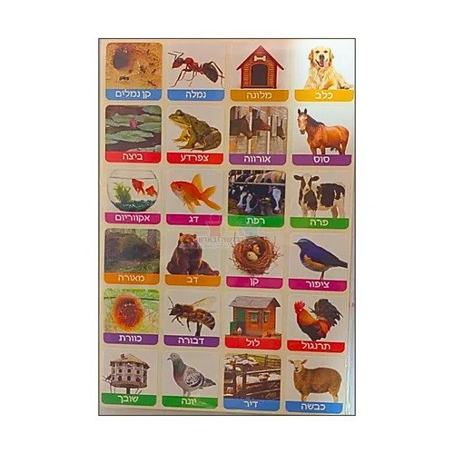 מדבקות פרוצס אני וביתי