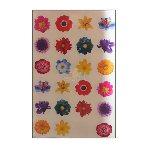 מדבקות פרחים קוטר 25