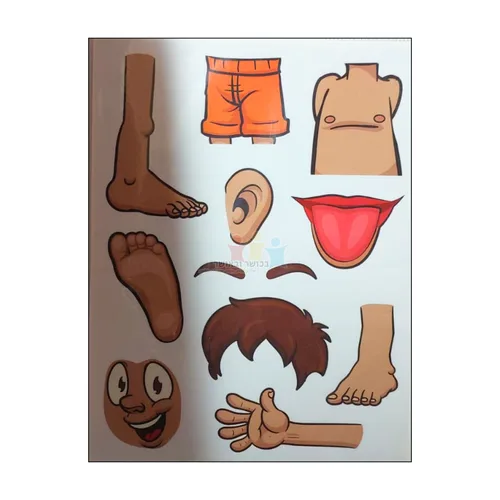 מדבקות חלקי גוף